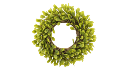 Isolated artificial green leaf wreath on natural twig base for decorations and projects