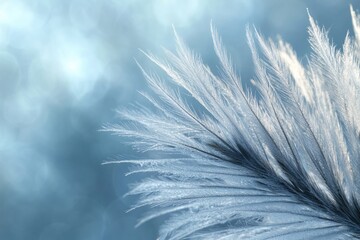 A close-up captures ethereal feathers, frosty and delicate, against a soft, blurred, light blue background, showcasing fragile beauty.