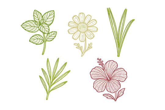Colorful floral and leafy embroidery designs featuring a daisy, hibiscus, mint, and grass elements for creative projects