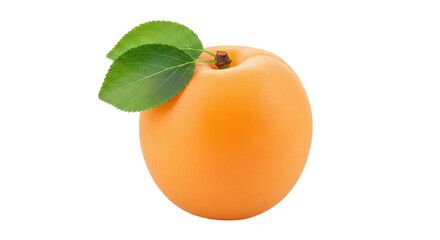 Isolated ripe apricot with two green leaves, delicious, organic and healthy fruit still life