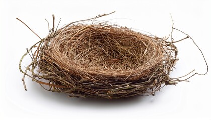 Obraz premium isolated bird s nest on a white background