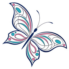 Beautiful butterfly with pink and blue details