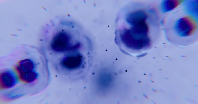 Abstract microscopic view of cells with glowing nucleus and soft texture. Concept for biology, life, medicine, science, health, and innovation