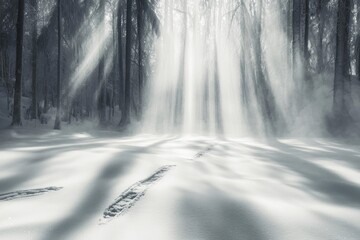 Obraz premium Sun rays filter through a snowy forest, illuminating footprints in the fresh, untouched snow, creating a magical winter scene.