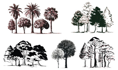 Vector illustration separate unique tree set art