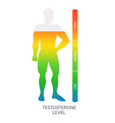 Measuring testosterone level in male body using gradient scale from low to high