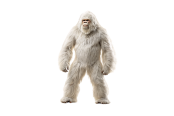 White yeti creature with thick fur, standing pose with muscular build and face, isolated on a transparent background