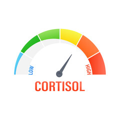 Cortisol stress hormone level measuring indicator with colorful speedometer