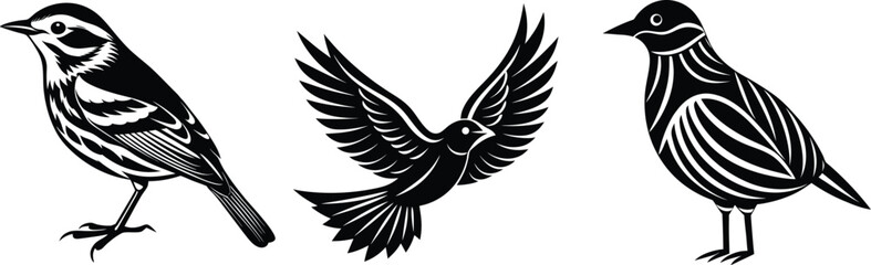 Obraz premium Black Vintage Birds Set – Hand-drawn Bird Silhouettes Vector Collection 