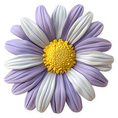 Purple and White Daisy Flower Isolated