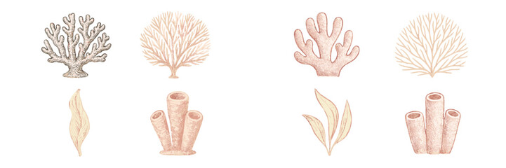 Diverse collection of marine life elements featuring various corals, sea sponges, and aquatic plants for underwater themes