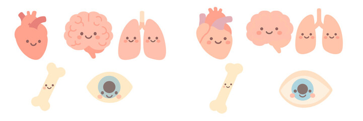 Cute anatomical elements with happy faces including heart brain lungs bone and eye for health concepts