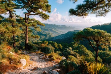 Scenic Mountain Landscape with Pine Trees and Lush Greenery Under Bright Blue Sky during Daytime, Capturing Nature's Beauty and Tranquility in a Serene Environment