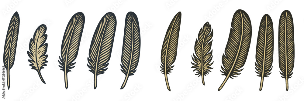 Poster various feather designs showing different shapes and sizes ideal for art and crafting projects