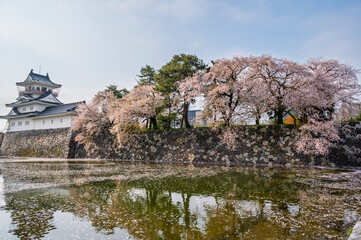 The former Toyama Castle and blossoms bloom over the ramparts and the moat, Toyama Castle Park is popular landmark tourist toyama city, Japan.