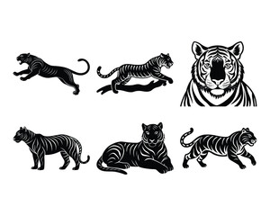 vector design of tigers isolated on white background Black tiger silhouettes vector illustration