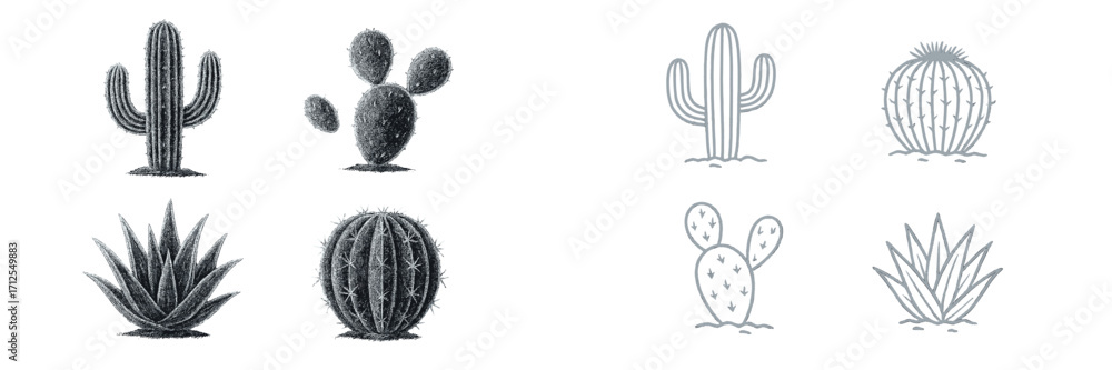 Poster unique collection of hand-drawn cactus and succulent illustrations suitable for various design proje