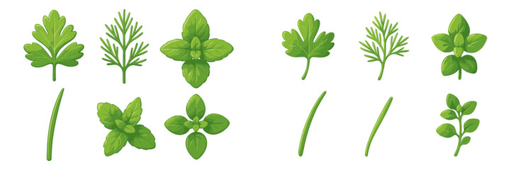 Various types of green herbs including mint, basil, and parsley arranged in a neat pattern on a light background