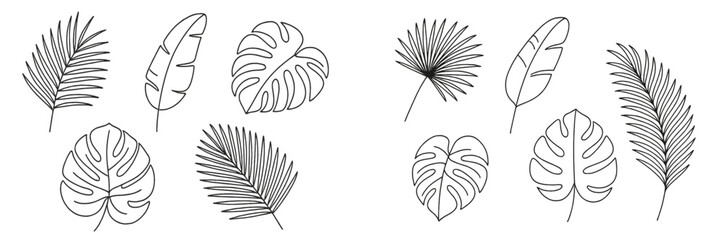 Detailed outline of various tropical leaves arranged in a symmetrical pattern for design or artistic inspiration