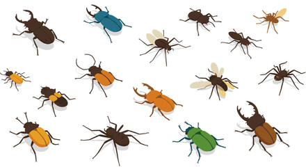 Diverse collection of insects in isometric style featuring beetles and bugs