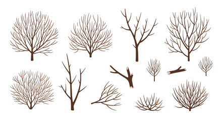Collection of bare tree branches and bushes in winter.