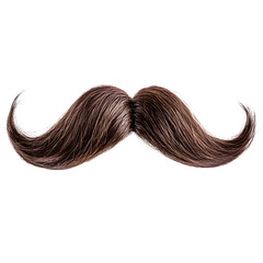 Elegant Brown Swirled Handlebar Mustache Hair Isolated Close-Up Shot