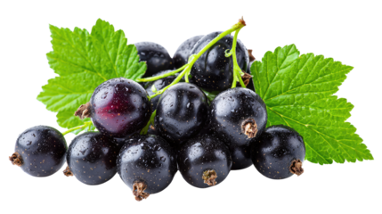 Black currant fresh ripe fruit with green leaves isolated on white background
