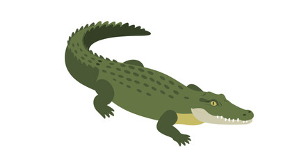 Flat design crocodile illustration on white background