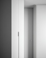 Modern monochrome interior featuring a sleek white wardrobe and a flush-mounted door.