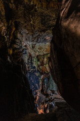 Cave walls with stalactites and vegetation