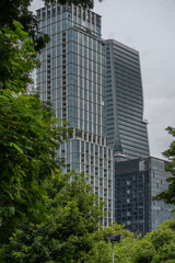 modern Bangkok city with skyscrapers against green park harmony, contemporary metropolis blending urban life with serene natural landscape on background