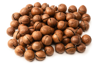Macadamia nuts in a shell isolated on a white background.