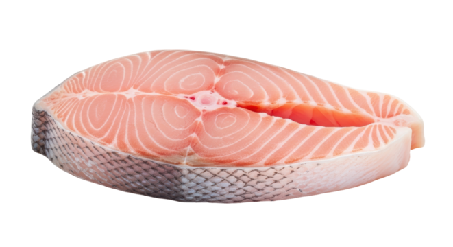 Isolated slice of fresh raw salmon fish steak fillet for healthy eating nutrition diet food