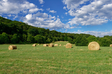 A picturesque view of a green field with hay bales under a bright blue and cloudy sky.