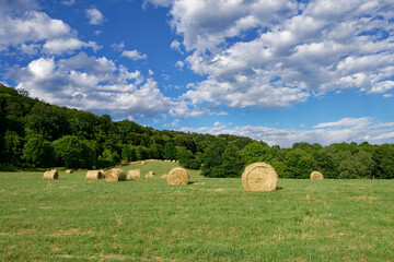 A picturesque rural landscape with hay bales in a green field under a vibrant blue sky.