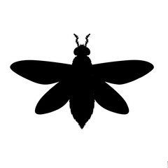 firefly vector illustration
