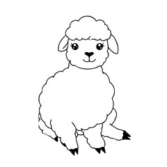 vector illustration of sheep