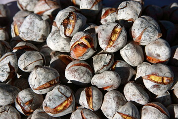 Portugal. Traditional, freshly charcoal roasted, sweet chestnuts in the Autumn sunlight. Popular Autumn - Winter street food throughout Portugal.