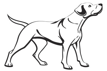 vector illustration of a dog