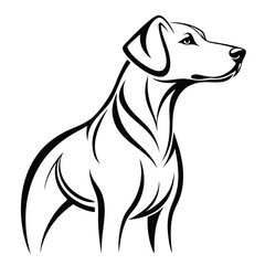vector illustration of a dog
