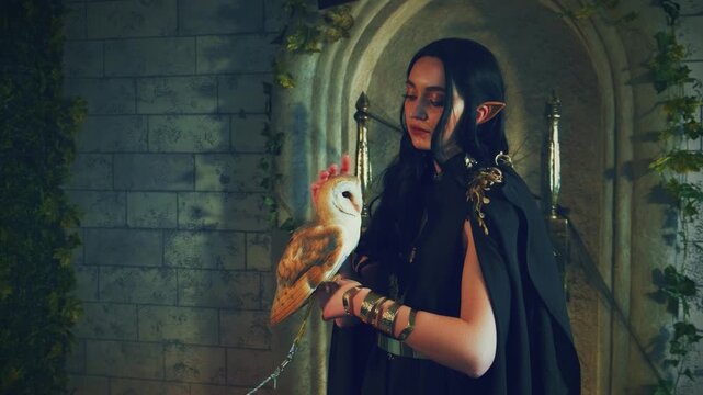 Closeup fantasy vampire woman in black Gothic vintage dress. Girl beauty face hand holding stroking wild bird white barn owl pet tamed animal. Festive halloween makeup gothic dark queen. throne room
