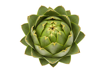 Obraz premium Isolated artichoke viewed from overhead shows the edible portion of the flower bud vegetal