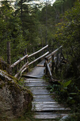 wooden bridge