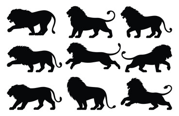 Set of lion silhouettes. isolated vector on white background.