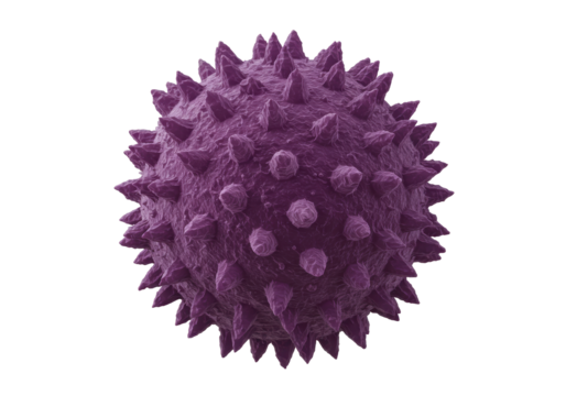 Isolated purple sphere with spikes, a microscopic virus cell for medical illustration use
