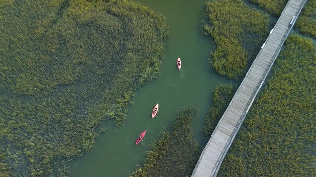 Aerial shot of 3 kayakers , kayaking in lowland marsh in charleston sc
