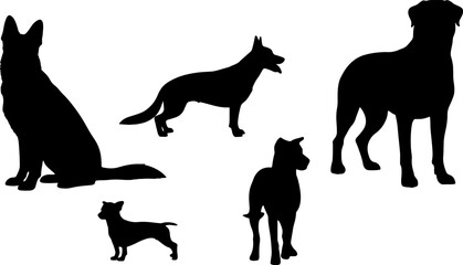 silhouette dog breed postures act black dog breed shapes monochrome color vector on white background