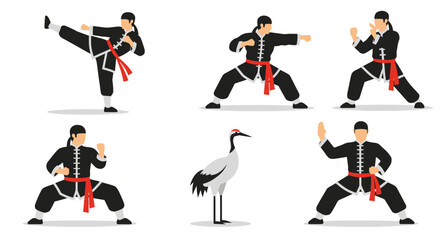 Chinese Martial Arts Kung Fu Training Flat Vector Illustration set