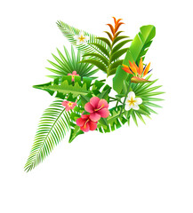 tropical flowers plant