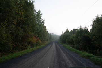Fototapeta premium A quiet empty road winds through a forest in Ontario, Canada, surrounded by vibrant autumn foliage and colorful trees.